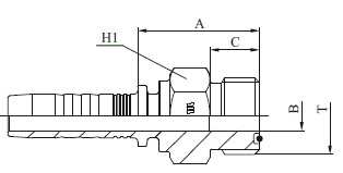 MACHO ORFS M12410